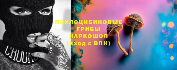 стафф Кадников
