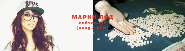 трава Верея