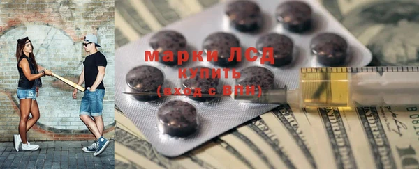 ПСИЛОЦИБИНОВЫЕ ГРИБЫ Бородино