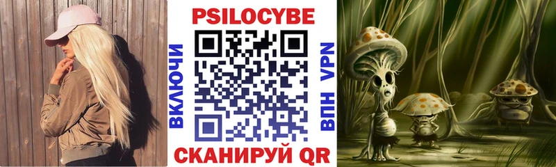 Псилоцибиновые грибы Cubensis  сколько стоит  Наро-Фоминск 