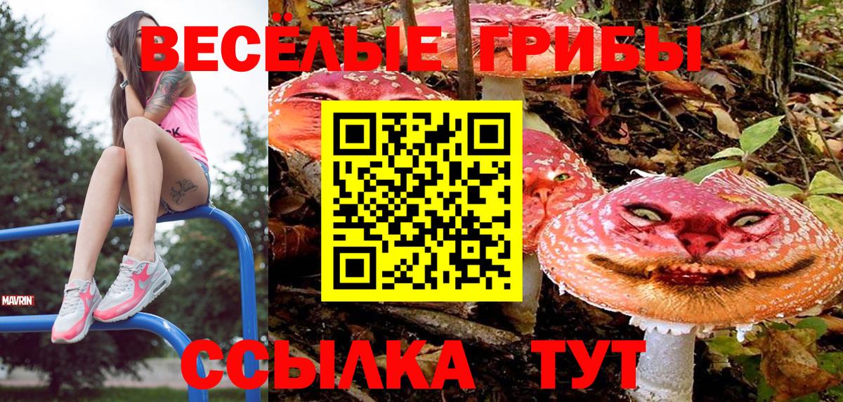 Псилоцибиновые грибы Psilocybe  Псилоцибиновые грибы GOLDEN TEACHER  Наро-Фоминск  Вход с VPN 