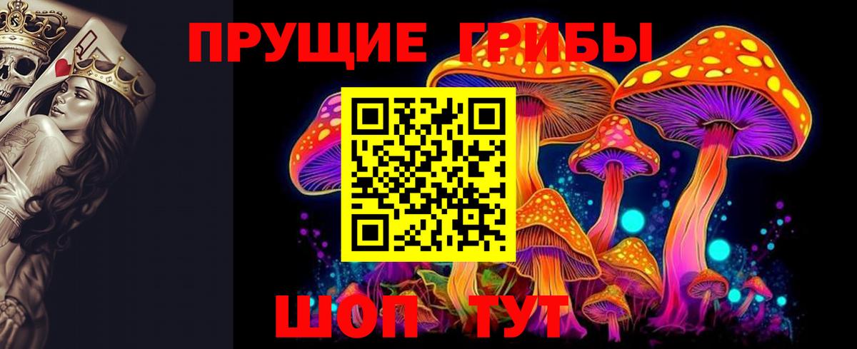 Псилоцибиновые грибы мицелий Наро-Фоминск